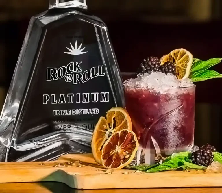 Rock'n Roll Platinum Tequila signature cocktail with blackberries, crushed ice, dried citrus slices and fresh mint — Casa Sensei, Fort Lauderdale
